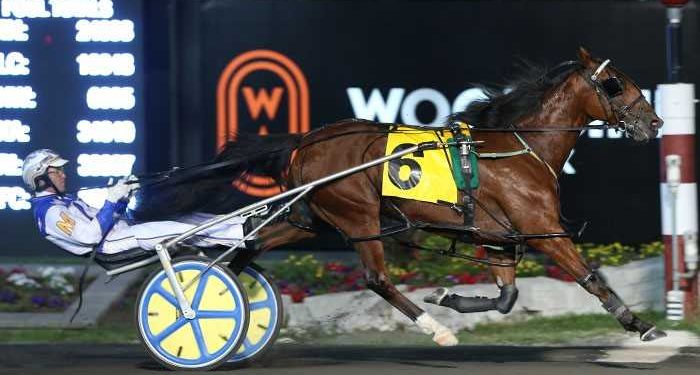 After 323 starts, Nickle Bag wins B track debut